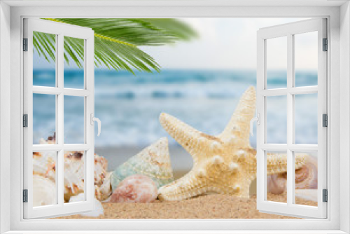 Fototapeta Naklejka Na Ścianę Okno 3D - Seashells