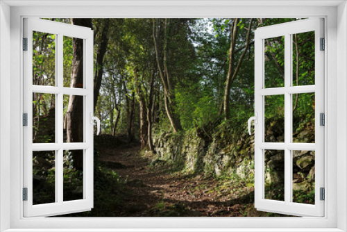 Fototapeta Naklejka Na Ścianę Okno 3D - Corse, sentier en forêt de Costa verde