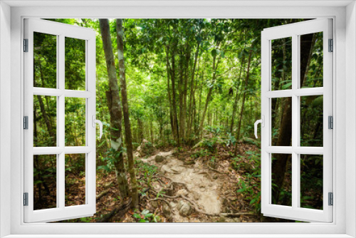 Fototapeta Naklejka Na Ścianę Okno 3D - Jungle trekking on Koh Phangan