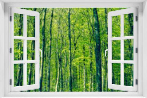 Fototapeta Naklejka Na Ścianę Okno 3D - Beech forest at springtime