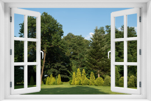 Fototapeta Naklejka Na Ścianę Okno 3D - green trees and bushes in summer park and blue sky