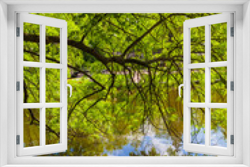 Fototapeta Naklejka Na Ścianę Okno 3D - landscape lake with a reflection