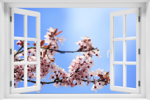 Fototapeta Naklejka Na Ścianę Okno 3D - Beautiful spring flowers on a background of blue sky