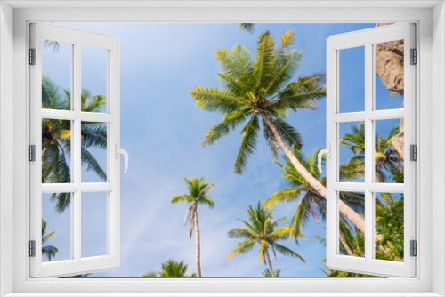 Fototapeta Naklejka Na Ścianę Okno 3D - Coconut palm trees perspective view, Landscape