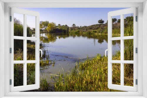 Fototapeta Naklejka Na Ścianę Okno 3D - A small lake with green vegetation around it and a smooth sky in the park