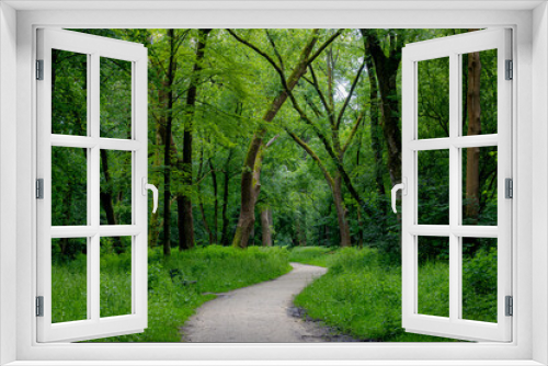 Fototapeta Naklejka Na Ścianę Okno 3D - Park and outdoor concept, Spring landscape with pathway into through the wood, New young green leaves on twig in the forest, Rows of big trees trunks along the walkways, Nature greenery background.