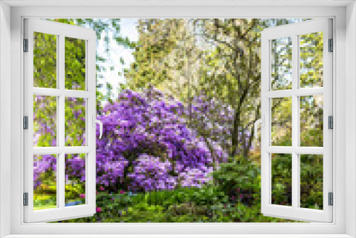 Fototapeta Naklejka Na Ścianę Okno 3D - Beautiful, botanic garden in Spring.
