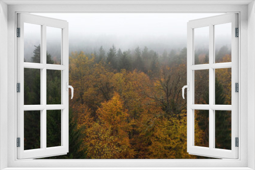 Fototapeta Naklejka Na Ścianę Okno 3D - Magic foggy fall season woods, aerial view.