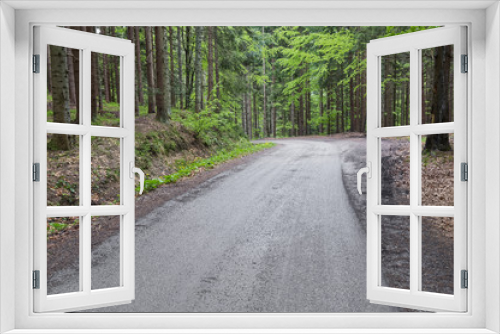 Fototapeta Naklejka Na Ścianę Okno 3D - Road in forest