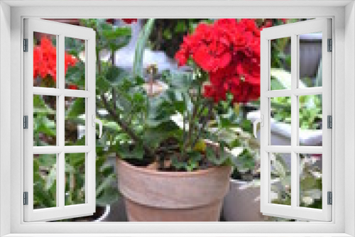 Fototapeta Naklejka Na Ścianę Okno 3D - Garden flowers