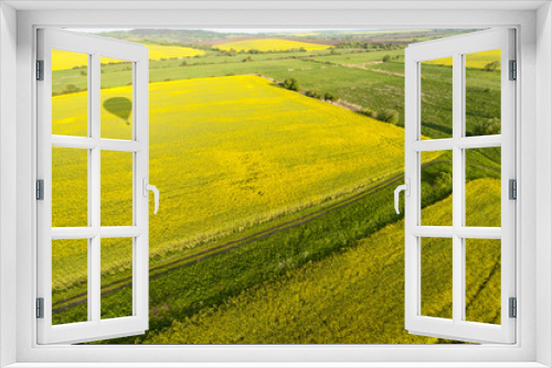 Fototapeta Naklejka Na Ścianę Okno 3D - Aerial view on yellow fields