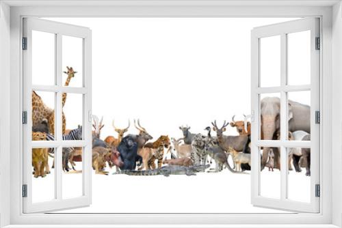 Fototapeta Naklejka Na Ścianę Okno 3D - animal of the world