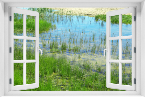 Fototapeta Naklejka Na Ścianę Okno 3D - Pond with grass as background