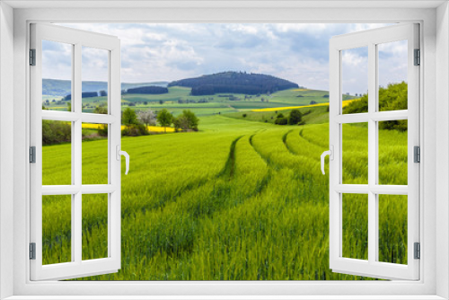 Fototapeta Naklejka Na Ścianę Okno 3D - German Spring Countryside Landscape