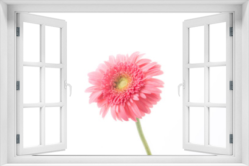 Fototapeta Naklejka Na Ścianę Okno 3D - pink gerbera