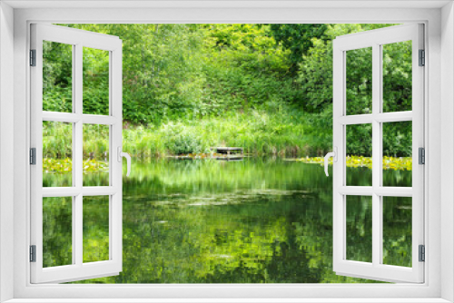 Fototapeta Naklejka Na Ścianę Okno 3D - Serene pond surrounded by lush greenery and reflections of trees on a calm summer day.