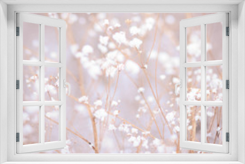 Fototapeta Naklejka Na Ścianę Okno 3D - Winter plant background