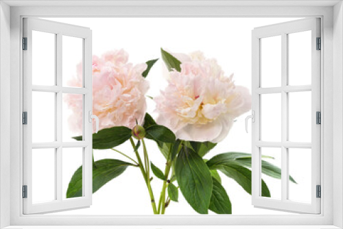 Fototapeta Naklejka Na Ścianę Okno 3D - White peonies bouquet.