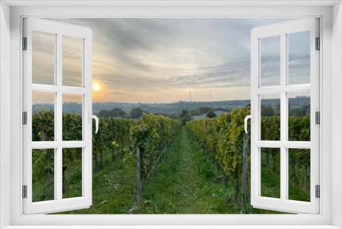 Fototapeta Naklejka Na Ścianę Okno 3D - The hills of southern Germany are covered in lush, green vineyards.

