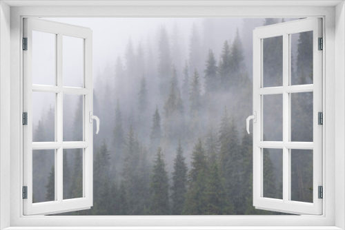 Fototapeta Naklejka Na Ścianę Okno 3D - Beautiful natural mountain background of forest and tall fir trees in thick fog during the rain