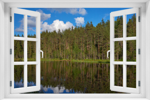 Fototapeta Naklejka Na Ścianę Okno 3D - Nature of Northern Europe: forest lake and swamp in Finland, in June, lake Jousjarvi in ​​the Sipoonkorpi national park.