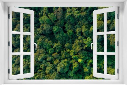 Fototapeta Naklejka Na Ścianę Okno 3D - Aerial top view of green trees in forest. Drone view of dense green tree captures CO2. Green tree nature background for carbon neutrality and net zero emissions concept. Sustainable green environment.