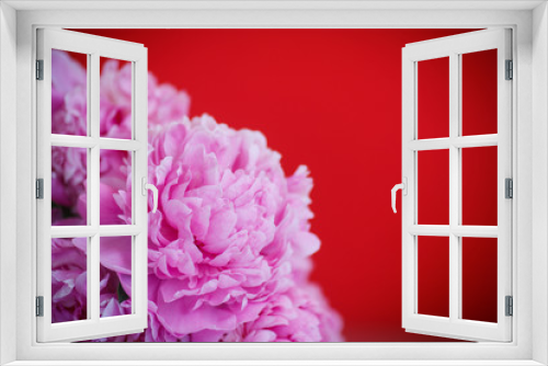 Fototapeta Naklejka Na Ścianę Okno 3D - beautiful pink peonies