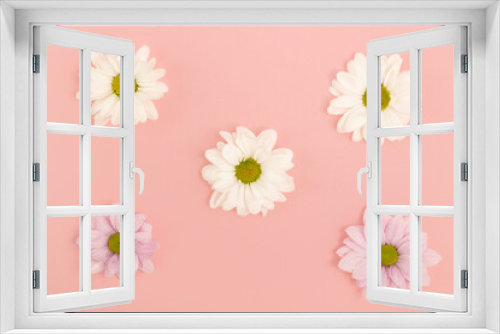 Fototapeta Naklejka Na Ścianę Okno 3D - Chrysanthemums on a pink background