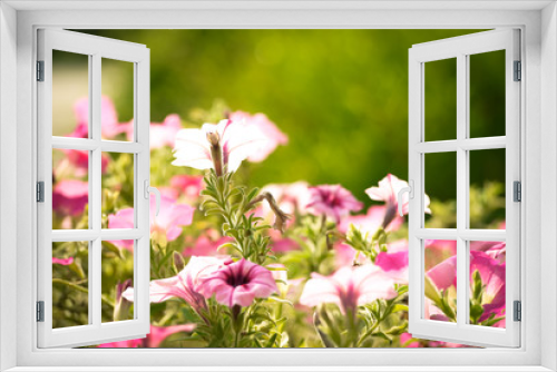 Fototapeta Naklejka Na Ścianę Okno 3D - abstract blurred flower background