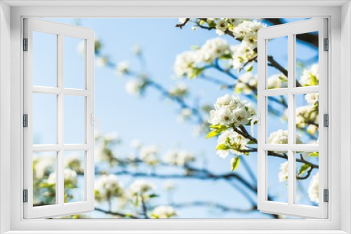 Fototapeta Naklejka Na Ścianę Okno 3D - Spring, outdoor, sunlight.