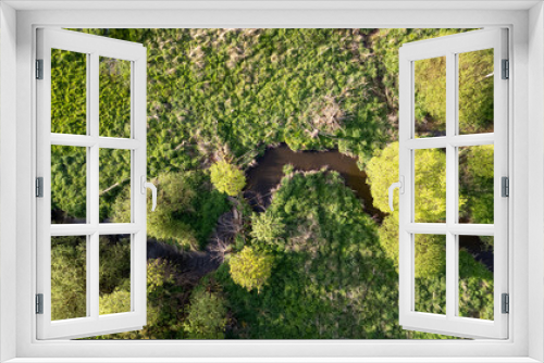 Fototapeta Naklejka Na Ścianę Okno 3D - A serene forest with lush greenery, a meandering stream, and beautiful landscape seen from a topdown aerial view