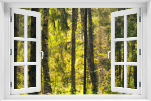 Fototapeta Naklejka Na Ścianę Okno 3D - Forest After Rain