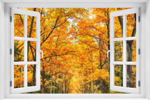 Fototapeta Naklejka Na Ścianę Okno 3D - Autumn Alley
