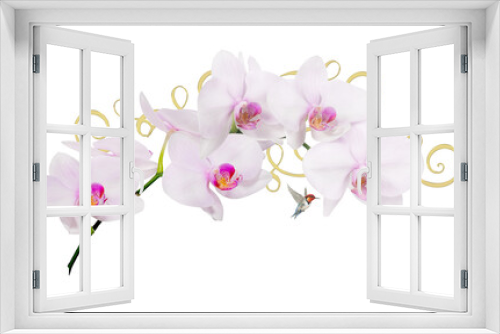 Fototapeta Naklejka Na Ścianę Okno 3D - Flowers isolated on white background. Creative layout. Flowers with golden elements. Top view, layout for stretch ceiling.
