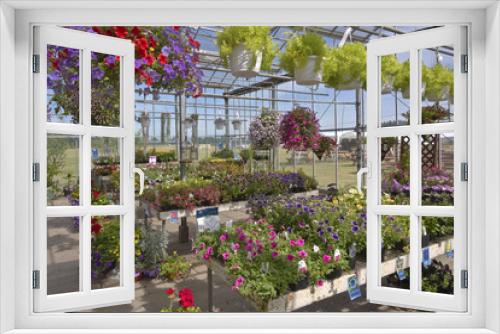 Fototapeta Naklejka Na Ścianę Okno 3D - Farm and garden nursery in Canby Oregon.