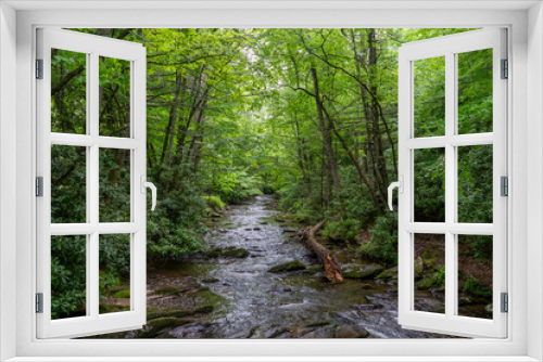 Fototapeta Naklejka Na Ścianę Okno 3D - The Doe River, a tributary of the Watauga River, runs through the forest in Roan Mountain State Park in Tennessee. It flows from just south of Roan Mountain State Park to Elizabethton. Horizontal