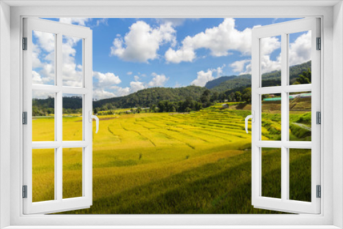 Fototapeta Naklejka Na Ścianę Okno 3D - Green Terraced Rice Field in Mae Klang Luang , Mae Chaem, Chiang Mai, Thailand