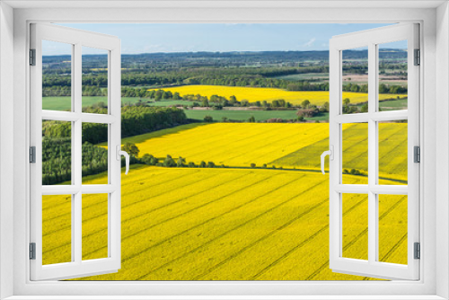 Fototapeta Naklejka Na Ścianę Okno 3D - aerial view of yellow harvest fields