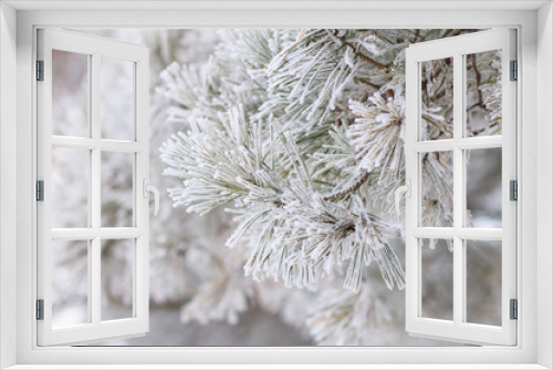 Fototapeta Naklejka Na Ścianę Okno 3D - Christmas background. Frosted branch of pine