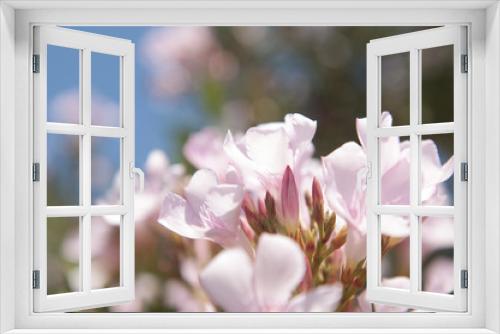 Fototapeta Naklejka Na Ścianę Okno 3D - Pink Flowers in Tree