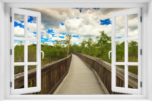 Fototapeta Naklejka Na Ścianę Okno 3D - Florida Everglades