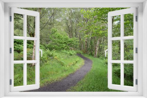 Fototapeta Naklejka Na Ścianę Okno 3D - Chemin en forêt