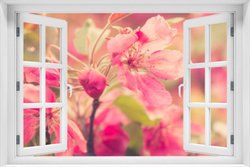 Fototapeta Naklejka Na Ścianę Okno 3D - Beautiful spring lilac flowers ,toned image