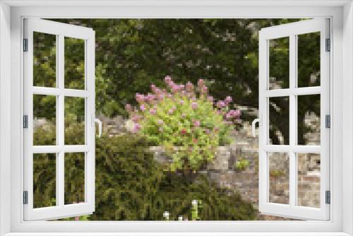 Fototapeta Naklejka Na Ścianę Okno 3D - Welsh Garden