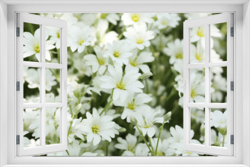 Fototapeta Naklejka Na Ścianę Okno 3D - Beautiful spring flowers outdoors