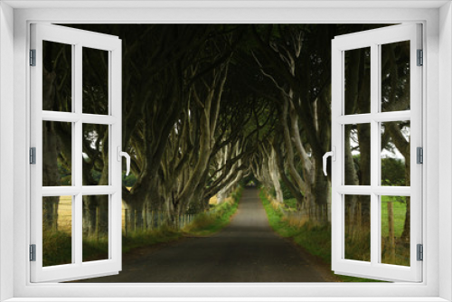 Fototapeta Naklejka Na Ścianę Okno 3D - Dark hedges (Northern Ireland)
Game of Thrones film location