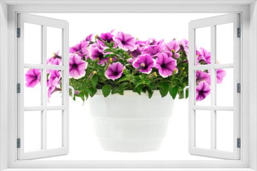 Fototapeta Naklejka Na Ścianę Okno 3D - Bouquet of flowers petunia in a pot.