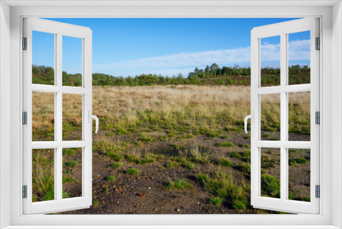 Fototapeta Naklejka Na Ścianę Okno 3D - View over heathland and grassland