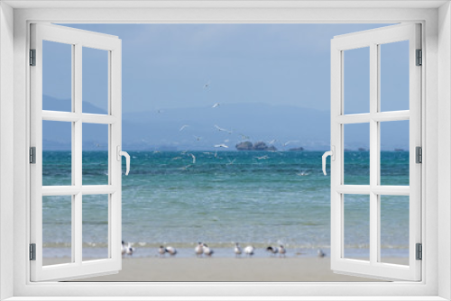 Fototapeta Naklejka Na Ścianę Okno 3D - 沖縄県　うるま市の海岸にいたアジサシ