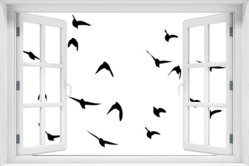Fototapeta Naklejka Na Ścianę Okno 3D - Flying birds silhouette flock. hand drawing. Not AI, Summer vector illustration